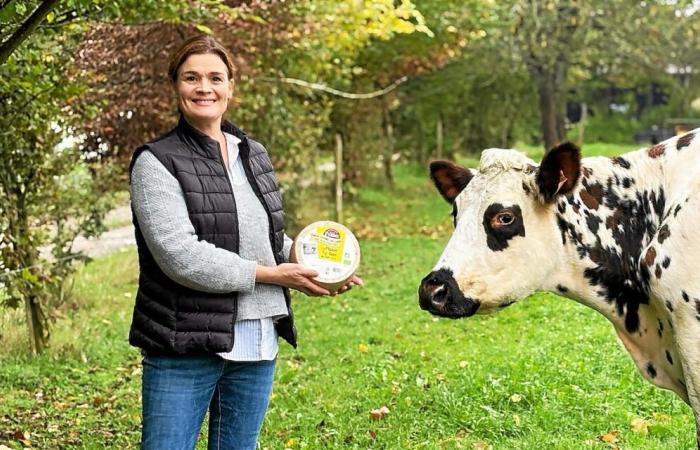 “A great reward”: his Ille-et-Vilaine farm is triple medal-winning for its raw milk cheese