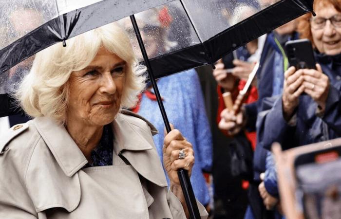 Lungs: what does Queen Camilla suffer from?