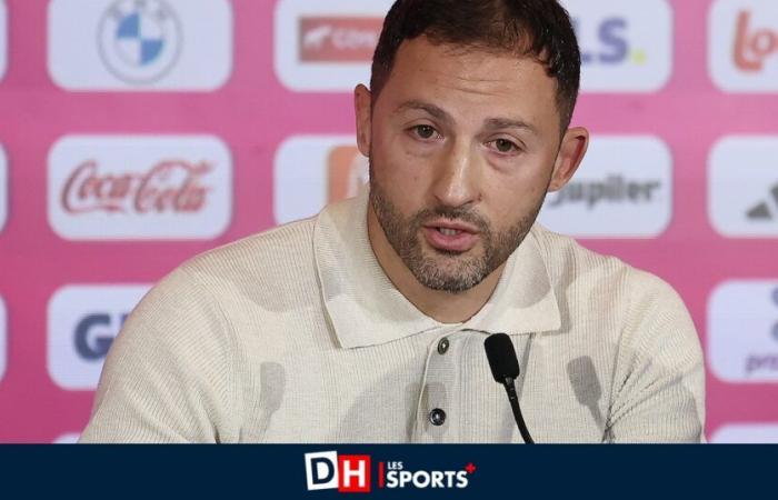 Basic eleven, Courtois affair and presence of Stassin in training: Tedesco takes stock before facing Italy