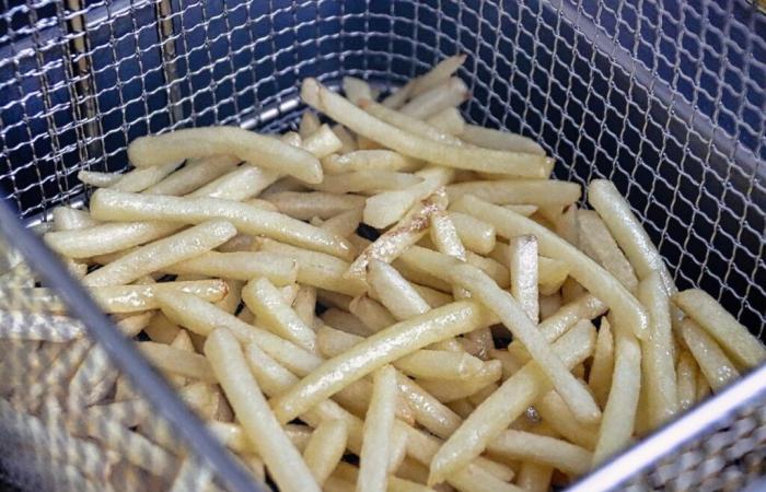 fryers exported from China suspected of espionage