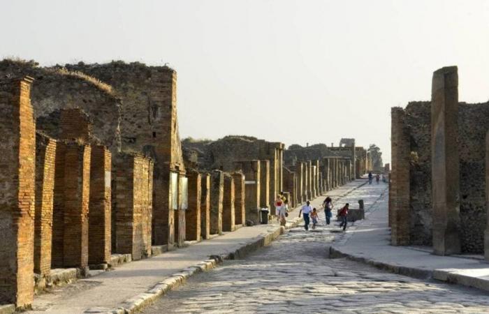 Pompeii. DNA analyzes overturn theories about victims of Vesuvius eruption