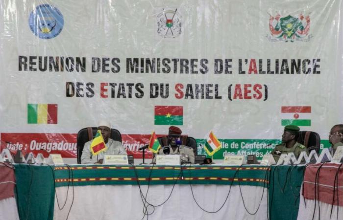 In Mali, an opponent arrested after criticizing the Burkinabe government