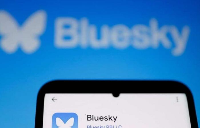 More than a million new subscribers since Trump’s election: what is Bluesky, which competes with X?