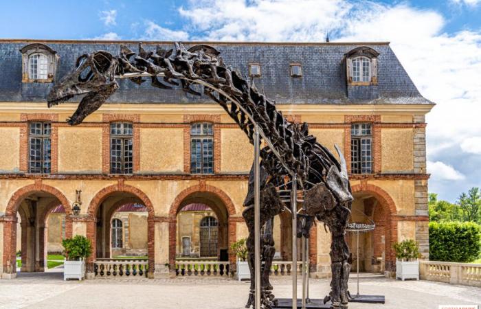 Vulcan, the largest dinosaur sold at auction this Saturday, November 16 in Dampierre-en-Yvelines