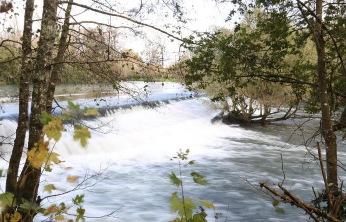 water levels at their highest in more than twenty years