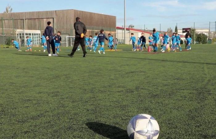 VIDEO. When parents of players from small football clubs attack educators