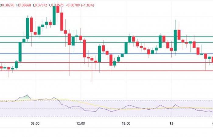 Dogecoin Pauses Uptrend As Crypto Market Signals Pullback. What Next?