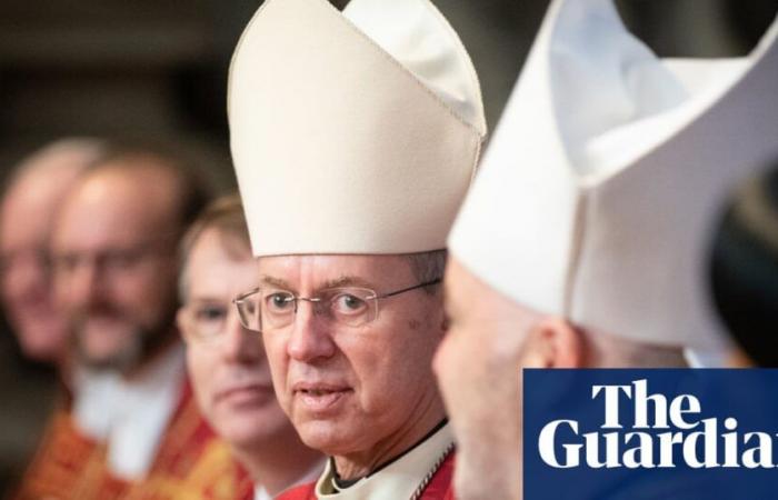 Bishop says more C of E senior clergy may need to resign over abuse scandal | Anglicanism