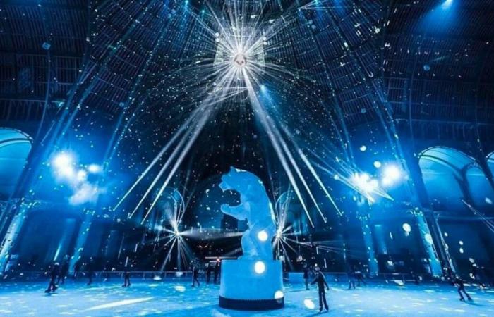 The most beautiful ice rink in the world returns to the Grand Palais! Reserve your places now!