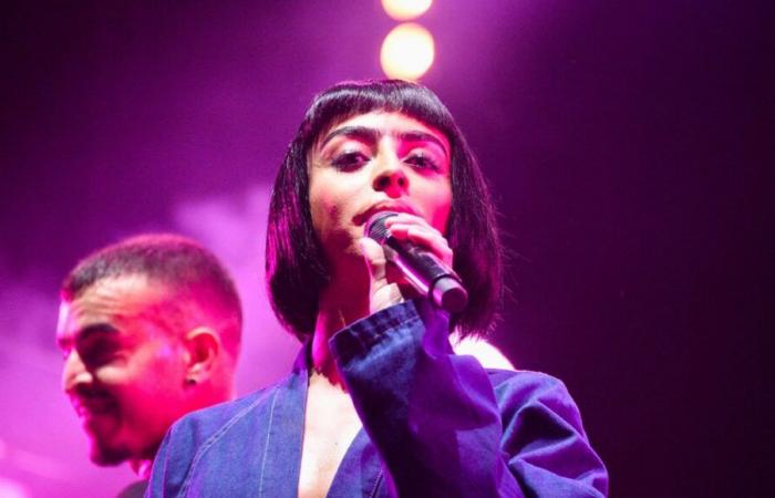 Bilal Hassani concert canceled in Metz: fines and prison sentences required for the five defendants