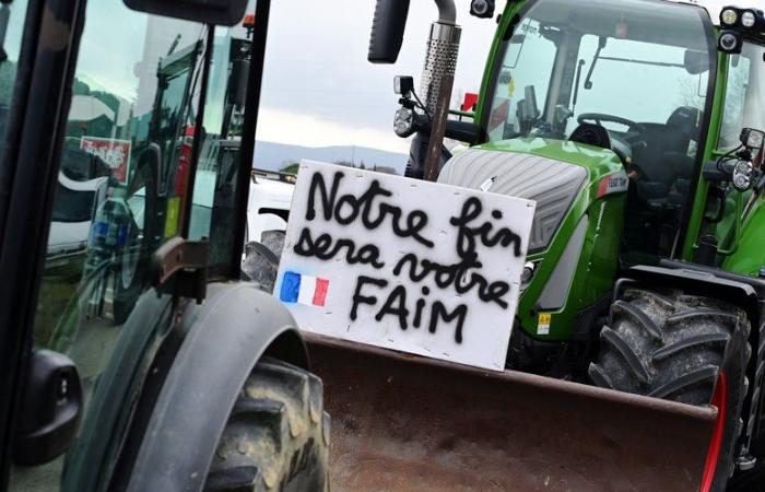 In Aude, angry farmers wall up the public finance center