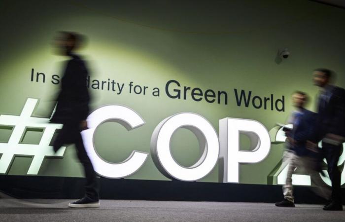 We explain to you what the carbon credit markets are, which were provided with a new framework at COP29