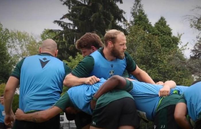 RUGBY. Terrible relapse after only three Top 14 matches for Mickaël Capelli (Pau)