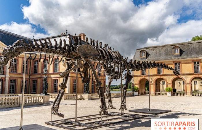 Vulcan, the largest dinosaur sold at auction this Saturday, November 16 in Dampierre-en-Yvelines