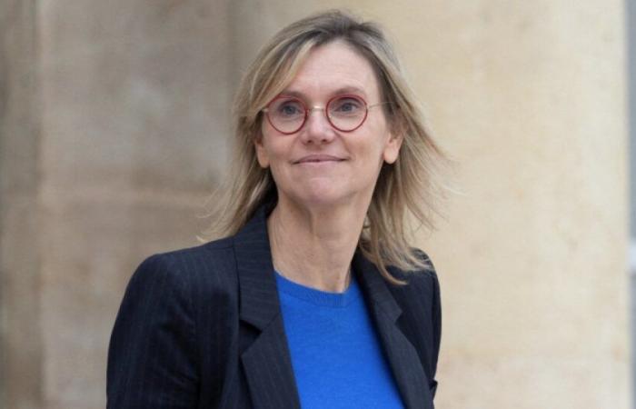 COP 29: Minister of Ecological Transition Agnès Pannier-Runacher will not attend the summit organized in Baku: News