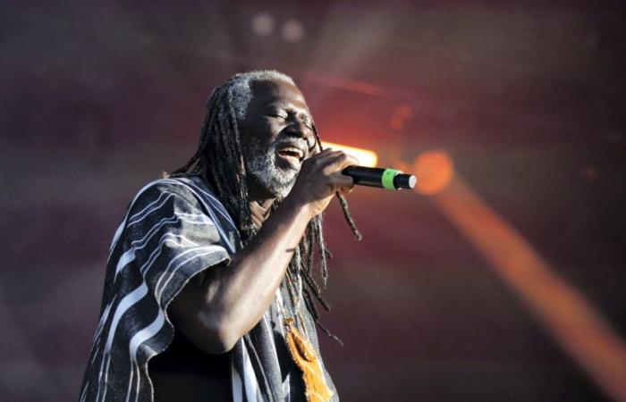 Tiken Jah Fakoly, Babylon Circus, Broussaï… The concerts not to be missed at the Normandy Humanity Festival