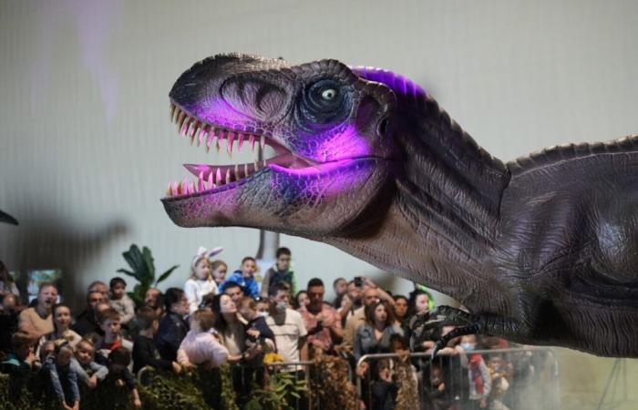 Larger than life, 100 dinosaurs will soon invade this town in Gard