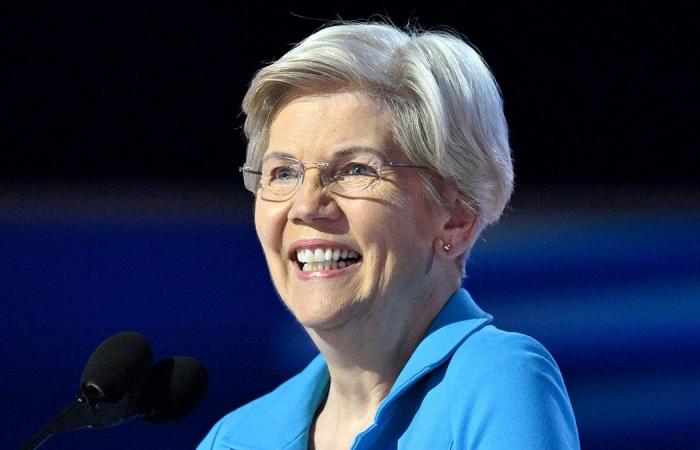 Elizabeth Warren gets sarcastic after Trump taps Musk, Ramaswamy for DOGE: ‘Yeah, this seems REALLY efficient’