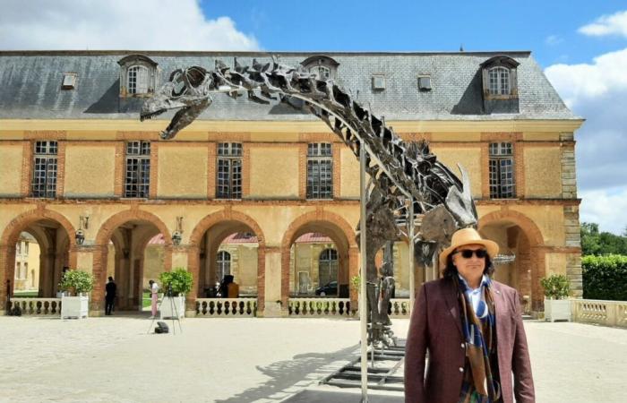 Vulcain, the dinosaur of all records, will be sold in Yvelines