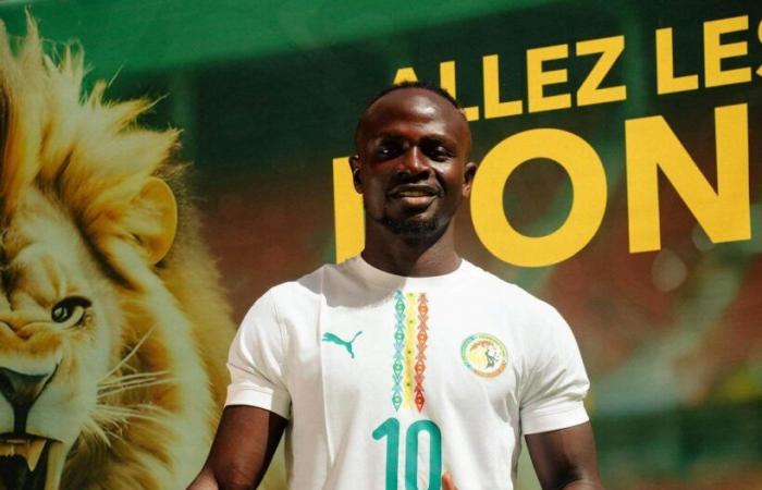 The Lions pose with the new Senegal home and away jerseys for 2025 (Photos)