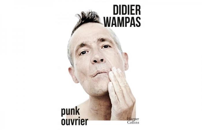 Didier Wampas, a working punk who opens up • Le Suricate