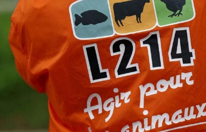 a slaughterhouse suspended after a complaint from L214 for “acts of cruelty”