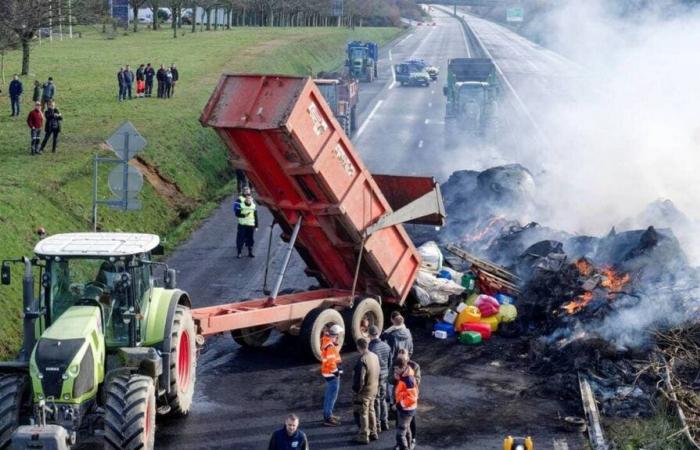 Farmers ready to mobilize in Morbihan