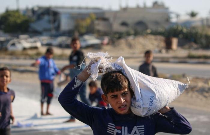 Gaza Strip | Why humanitarian aid is trickling in