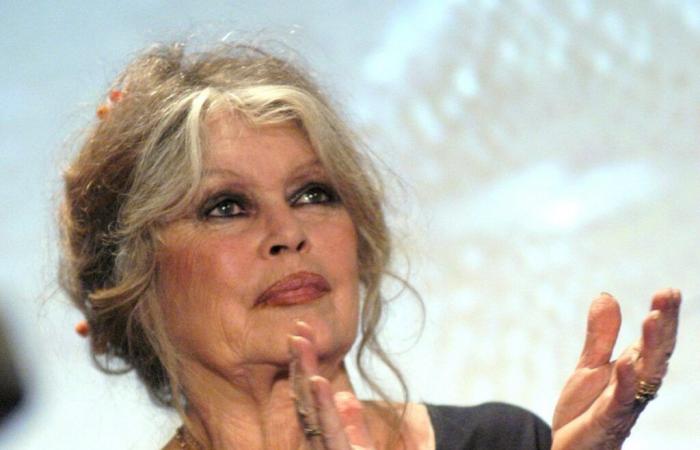 Married four times, Brigitte Bardot talks about her love life: “I have never…”