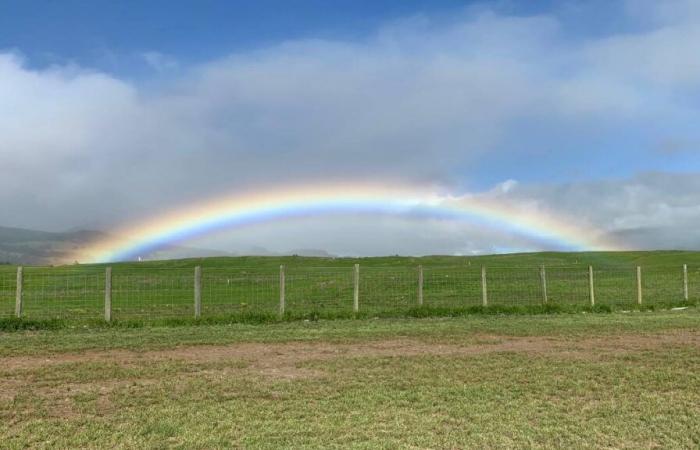 Hawaii County Weather Forecast for November 13, 2024 : Big Island Now