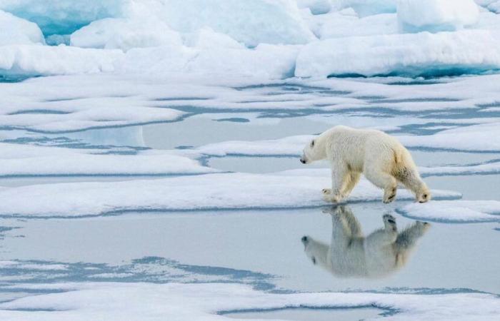 “Climate denial is most often based on false beliefs”