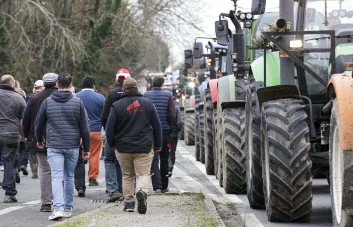 Agricultural unions in Indre-et-Loire are considering mobilizations against the EU-Mercosur agreement