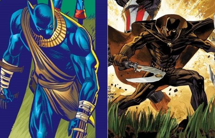 5 Marvel Characters Denzel Washington Could Play in Black Panther 3