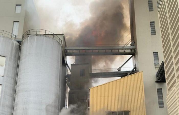 Fire in a grain dryer in Beaune: around forty firefighters mobilized