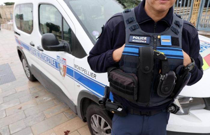 an octogenarian disfigured and left for dead in the middle of the street in Montpellier