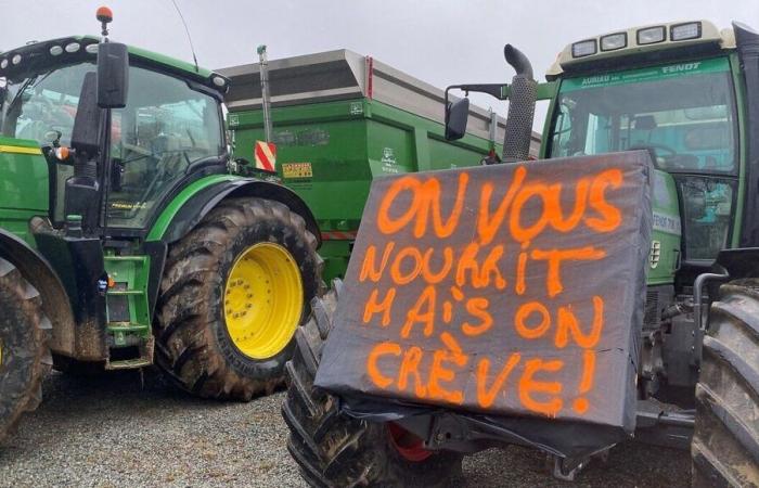 Agricultural crisis: in Deux-Sèvres, farmers launch their mobilization on Sunday November 17