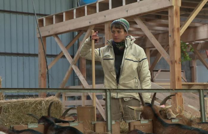 facing stereotypes, women are reinventing agriculture in Puy-de-Dôme