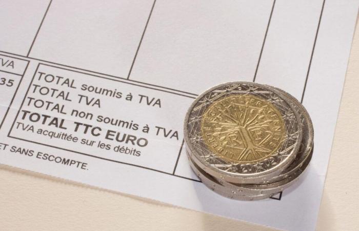 VAT fraud network dismantled in Europe, 520 million euros seized