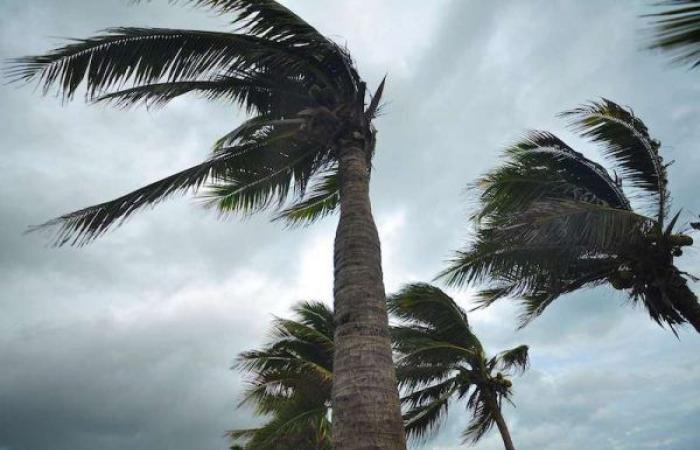 Warning bulletin: strong winds expected in a number of regions of the Kingdom – Kech24: Morocco News – Kech24: Moroccan electronic newspaper