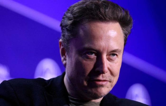 “Very high IQ”, “80 hours per week”… Elon Musk seeks future recruits for the “government efficiency” department