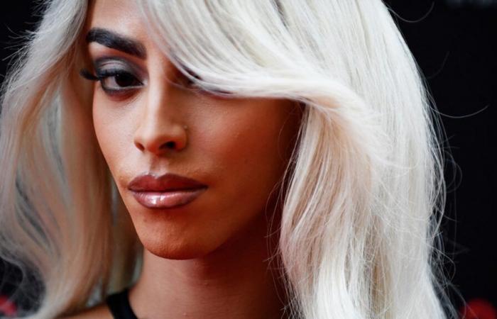 Canceled Bilal Hassani concert: what do defendants accused of provoking hatred risk?