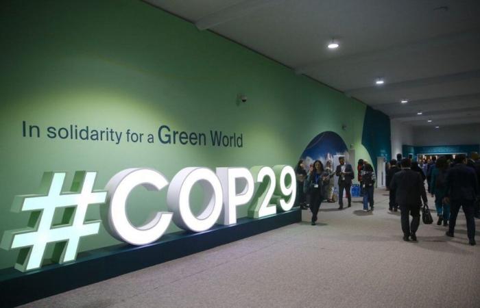 Diplomatic incident at Cop29: “Our door remains open,” Azerbaijani chief negotiator tells France