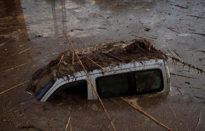 In Spain, these plastic cars in Malaga show the desperation of residents in the face of bad weather