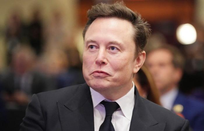 Elon Musk launches recruitment for his “department of government effectiveness”