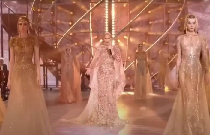 Celine Dion sings at the Elie Saab fashion show, but there is a problem