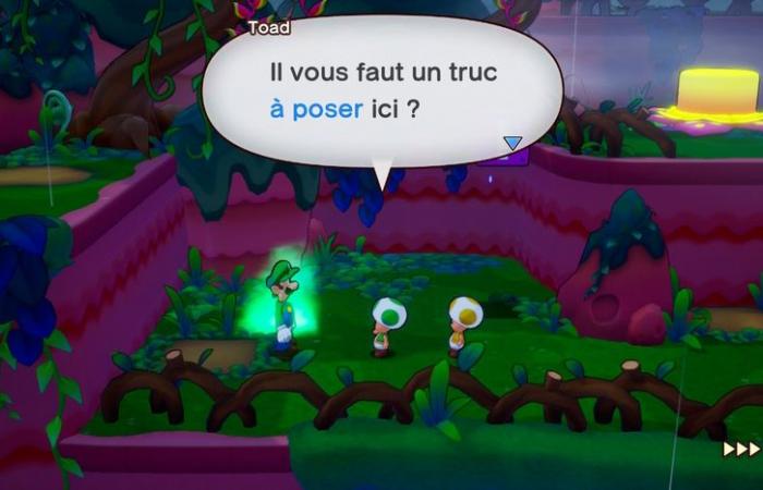 Test: Mario & Luigi: The brotherly epic, the cruise wears me out