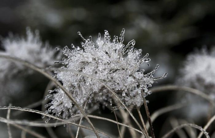 Weather: “frequent frost” in Aveyron, – 2.5°C recorded… where was it the coldest this Thursday morning?