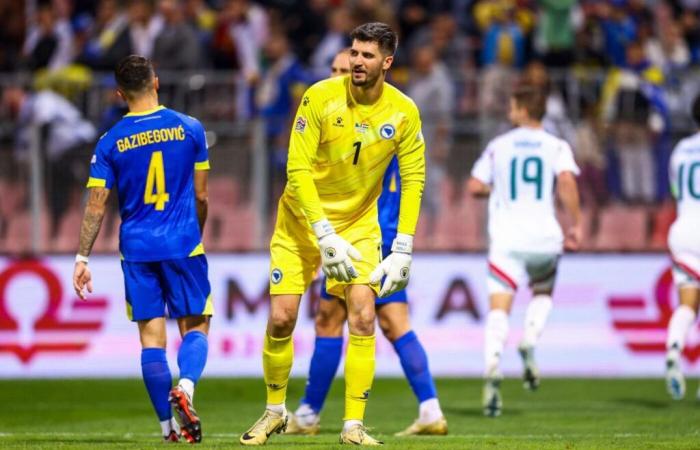 The unexpected exit of players from the Bosnian selection in Germany – League of Nations – J5 – Germany-Bosnia