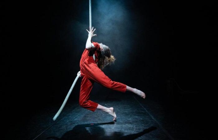 Videos. Circus, dance and jazz on the agenda for the weekend in Dordogne