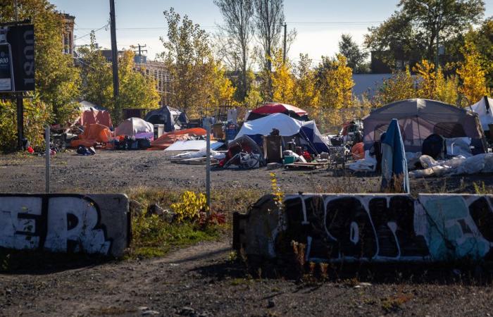 Roaming | A state of emergency called for in Montreal